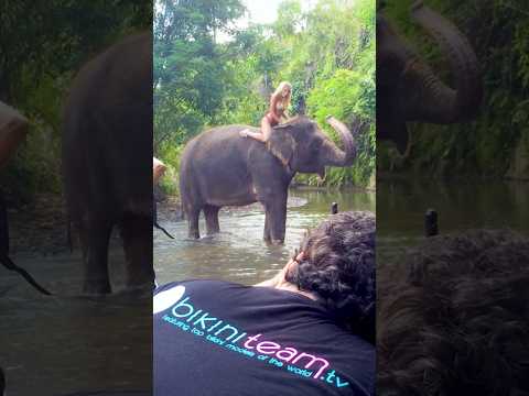 Behind The Scenes With Khloe Terae In Bali During Her Bikini Elephant Video Shoot