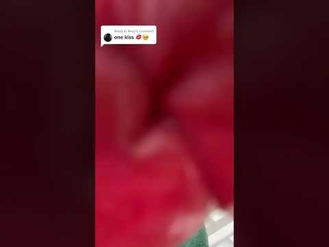 your wish is my command x