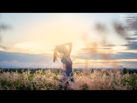 Roman Morphing – Future Love